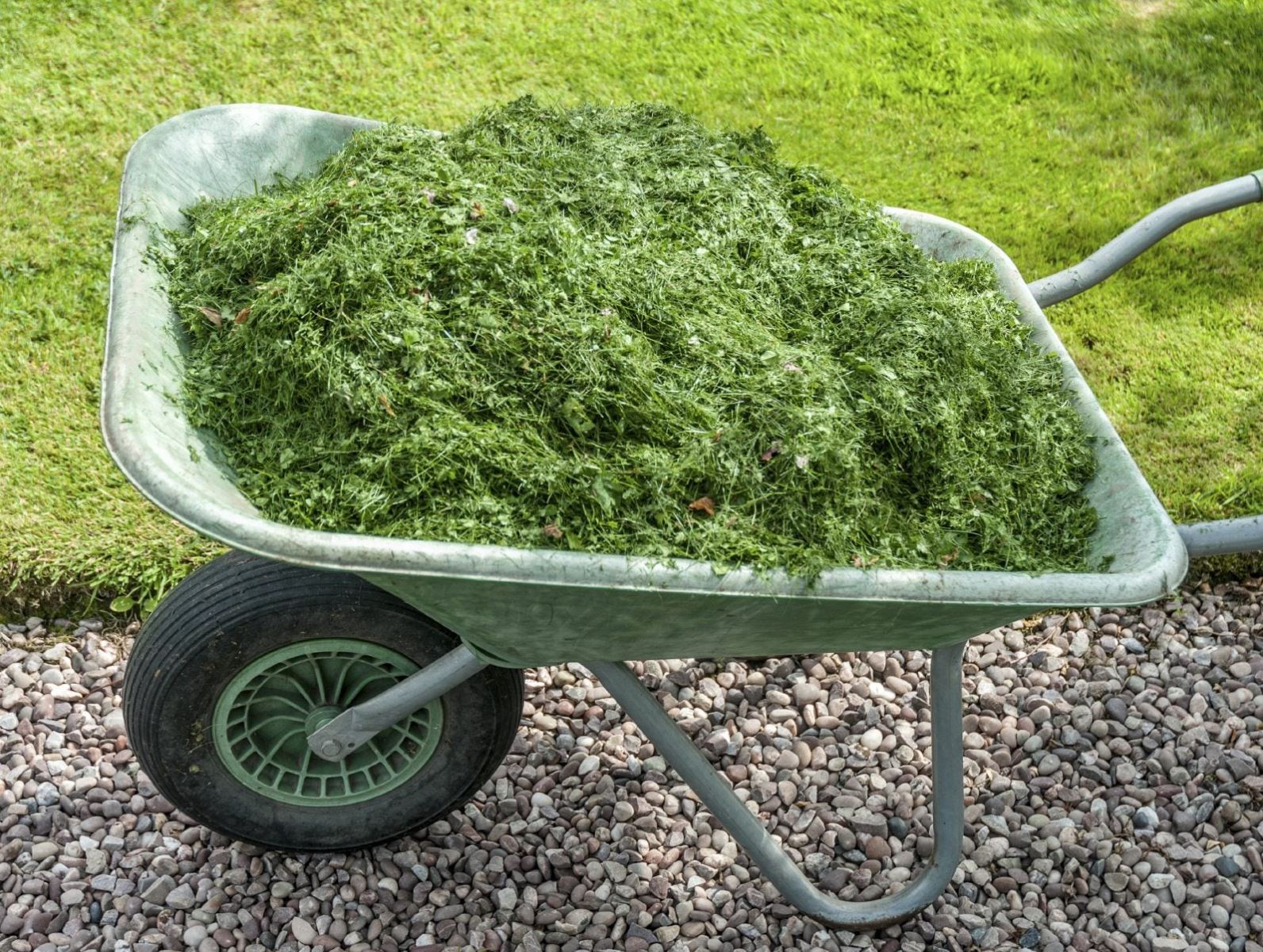 
Should I Mulch with Grass Cuttings in Summer?